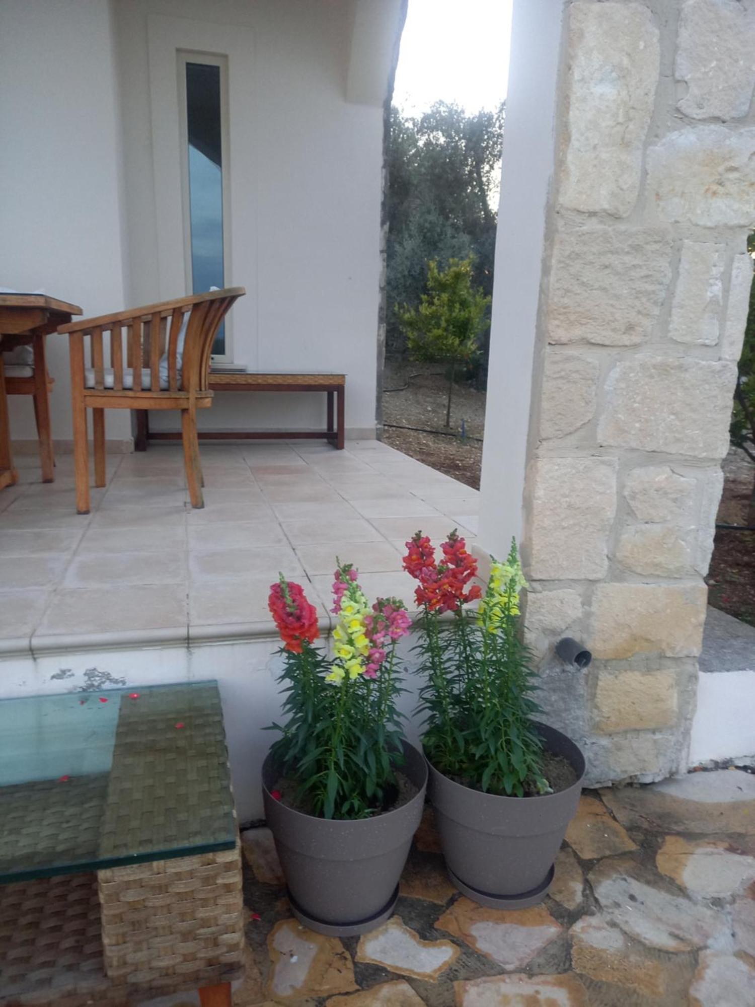 Villa Koumneni Pano Akourdalia Luaran gambar