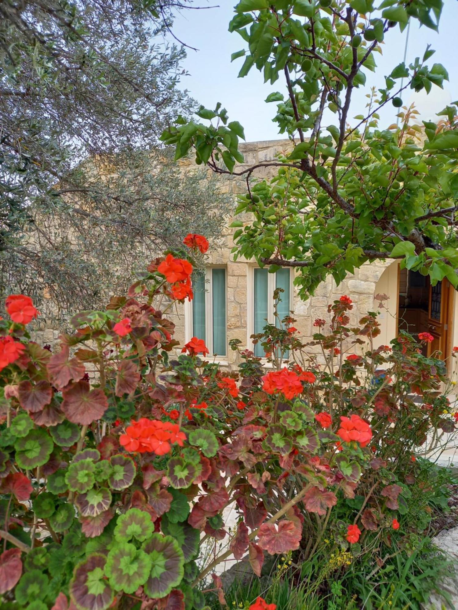 Villa Koumneni Pano Akourdalia Luaran gambar