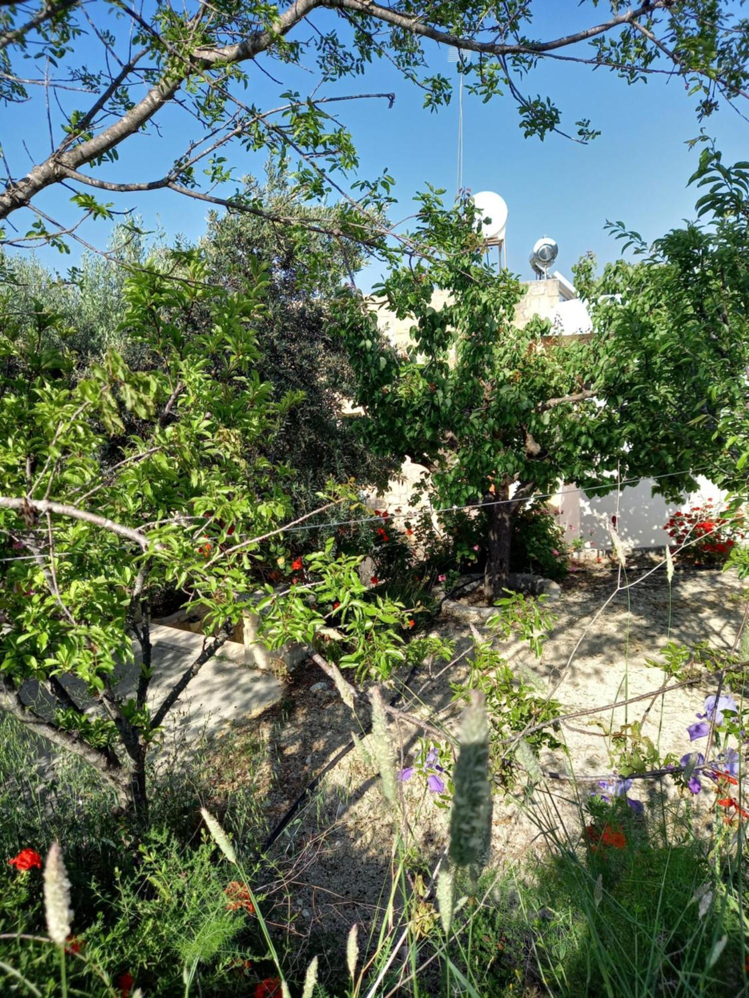 Villa Koumneni Pano Akourdalia Luaran gambar