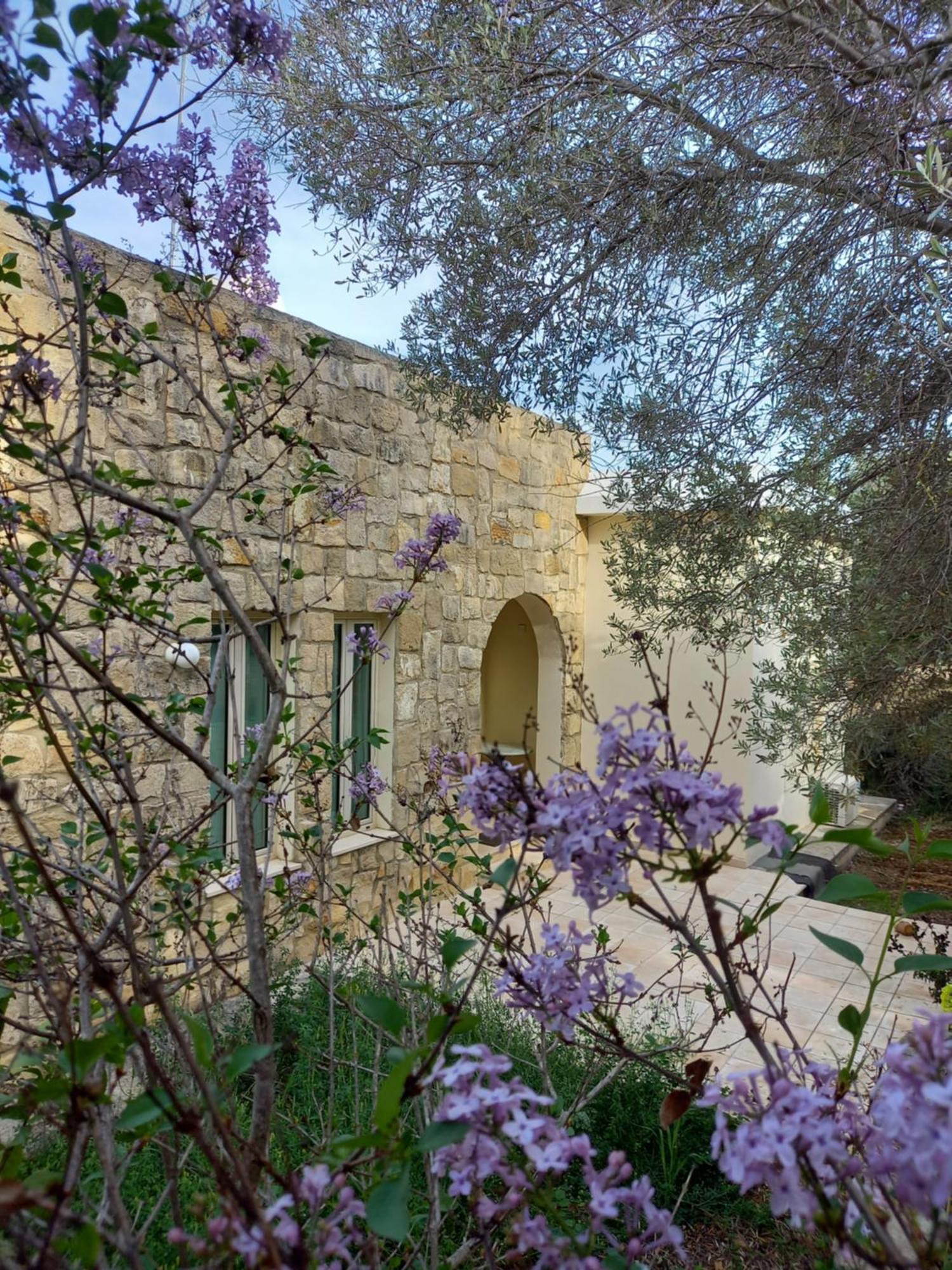 Villa Koumneni Pano Akourdalia Luaran gambar